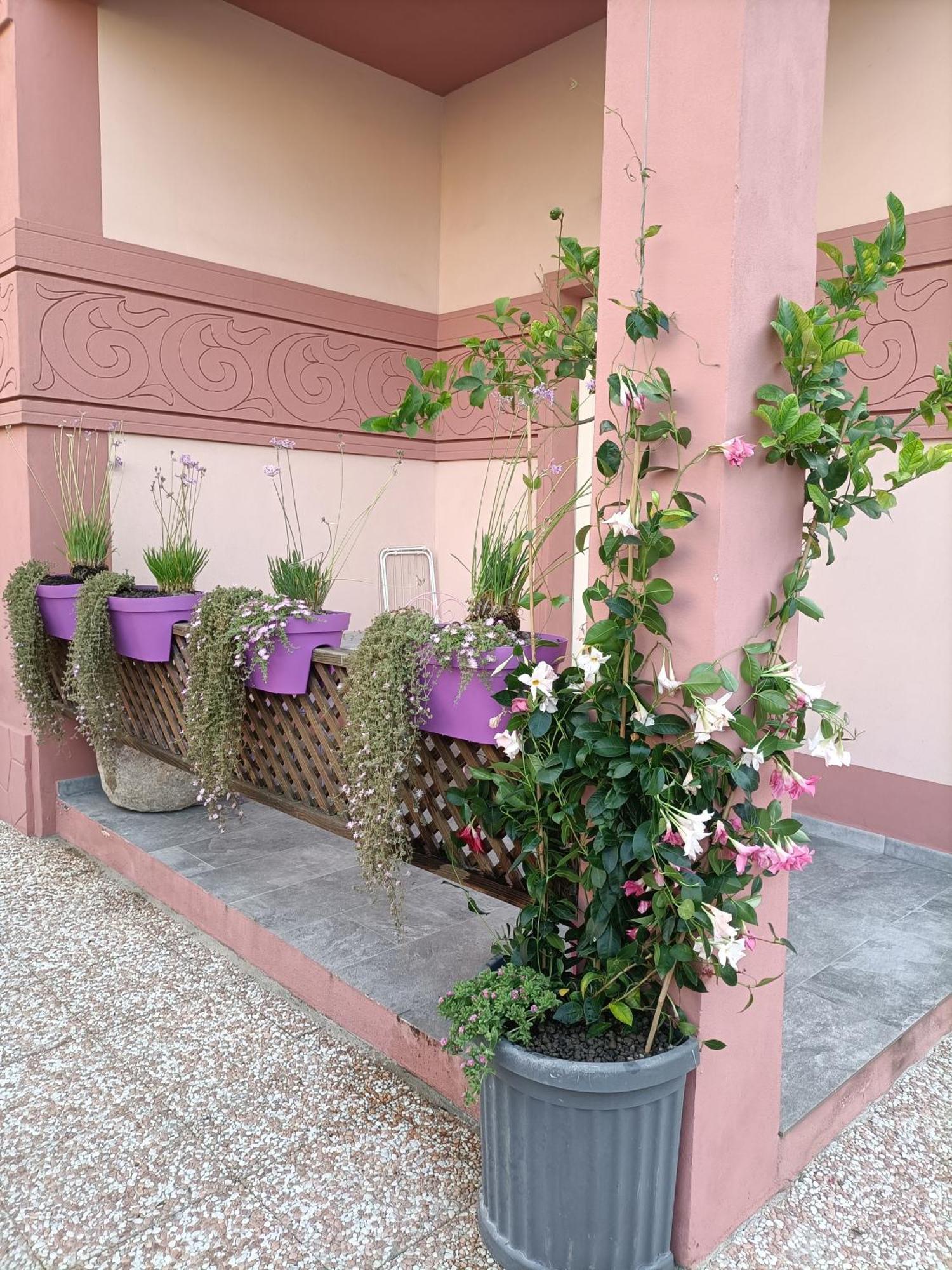 Maison Belle Epoque & Suites Ористано Номер фото